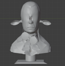 Unnamed Character Bust, full version, front view